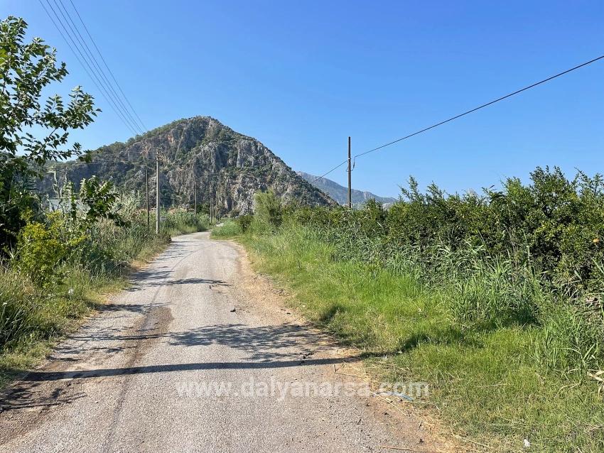 Dalyan Arıkbaşı Gerendüzü Mevkiinde 10,000m2 Satılık Nar Bahçesi