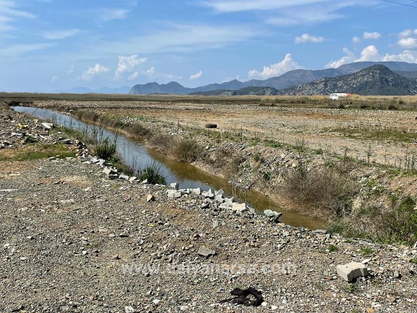 Dalyan İztuzu Plaj Yoluna Sıfır 19.600m2 Satılık Tarla