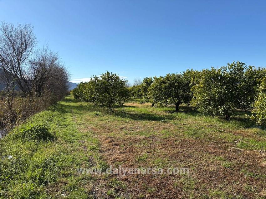 Ortaca Dalyan Mah. Satılık Tarla - Tarla İmar Durumlu - 16.500 m²