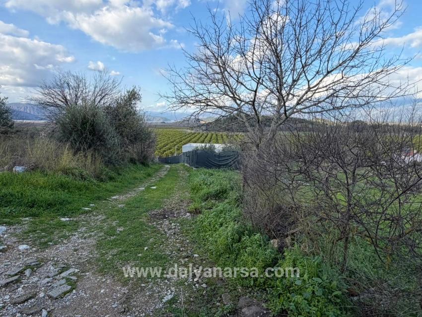 Dalyan'da Göl Manzaralı 11.230m2 Satılık Tarla