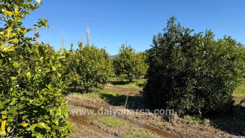 Okçular Marmarlı'da 2.218m2 Satılık Arsa