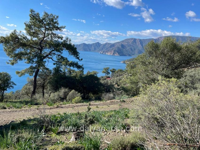 Çandır Full Deniz Manzaralı 20.000m2 Satılık 2b