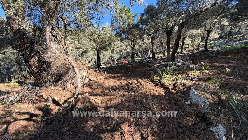 Çandır'da Full Deniz Manzaralı 5715m2 Satılık 2b Tarla