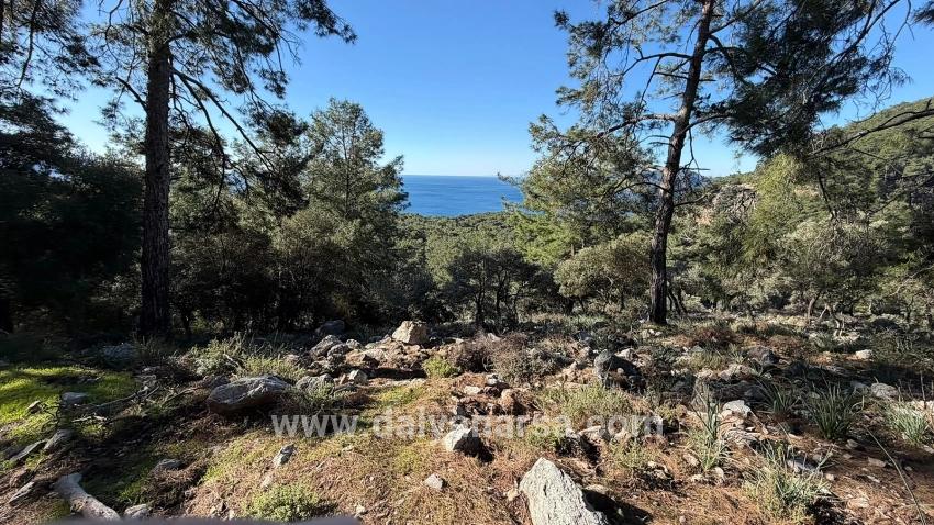 Çandır'da Full Deniz Manzaralı 5715m2 Satılık 2b Tarla