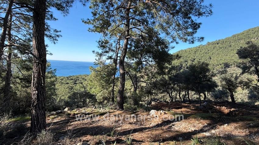 Çandır'da Full Deniz Manzaralı 5715m2 Satılık 2b Tarla