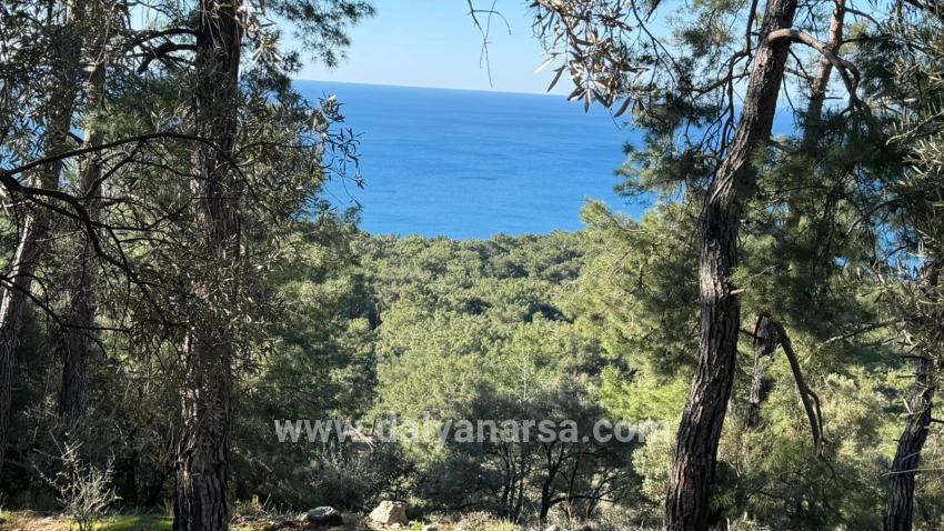 Çandır'da Full Deniz Manzaralı 5715m2 Satılık 2b Tarla