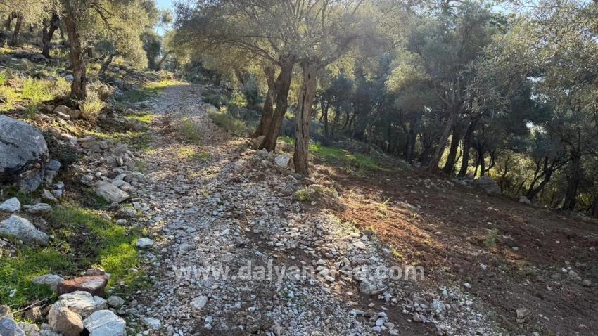 Çandır'da Full Deniz Manzaralı 5715m2 Satılık 2b Tarla