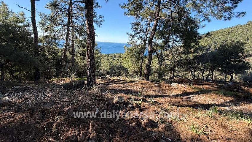 Çandır'da Full Deniz Manzaralı 5715m2 Satılık 2b Tarla