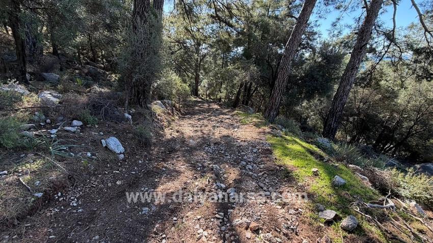 Çandır'da Full Deniz Manzaralı 5715m2 Satılık 2b Tarla