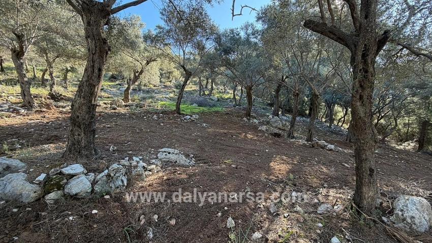 Çandır'da Full Deniz Manzaralı 5715m2 Satılık 2b Tarla