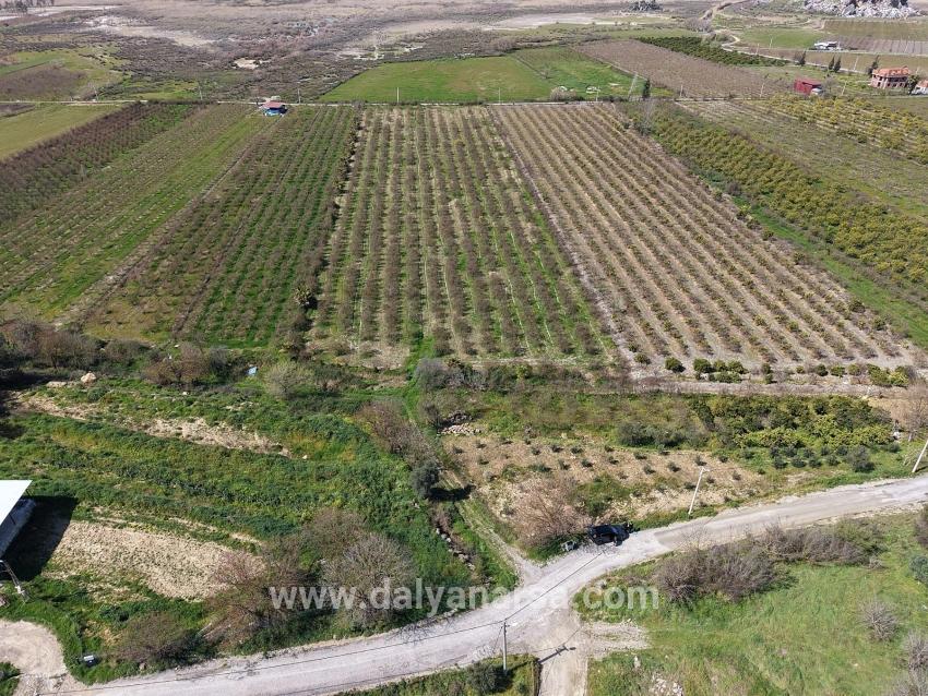 Eskiköy'de Göl Manzaralı 16.710m2 Satılık Nar Bahçesi