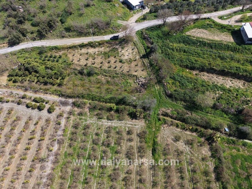 Eskiköy'de Göl Manzaralı 16.710m2 Satılık Nar Bahçesi