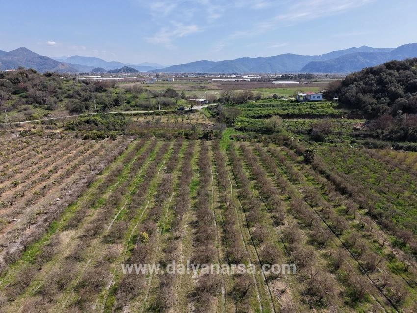 Eskiköy'de Göl Manzaralı 16.710m2 Satılık Nar Bahçesi