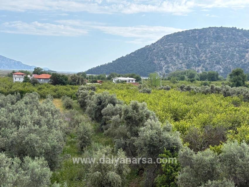 Çandır'da Deniz Ve Göl Manzaralı 1.721m2 Satılık Tarla