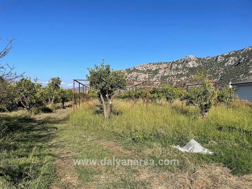 Dalyan'da Merkeze Yakın 6600m2 Satılık Tarla