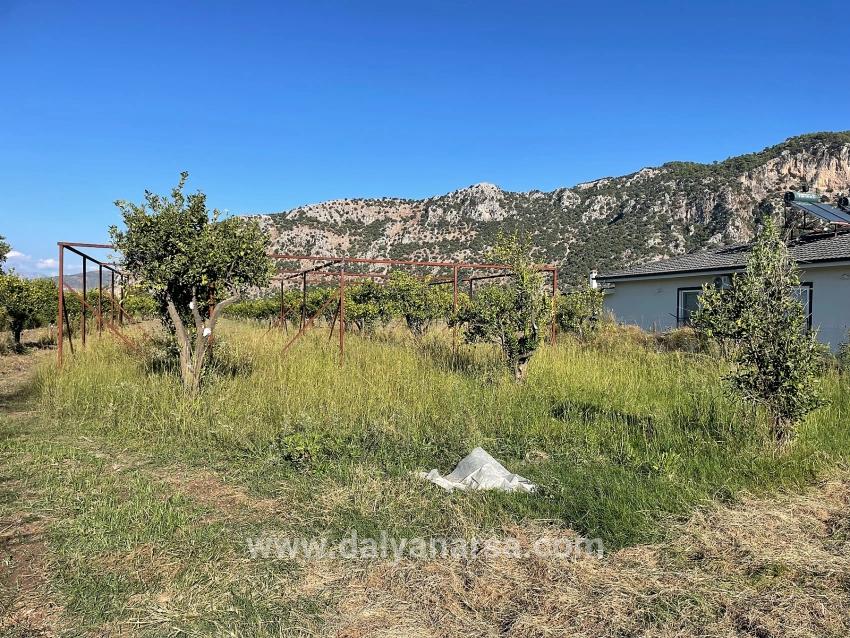 Dalyan'da Merkeze Yakın 6600m2 Satılık Tarla