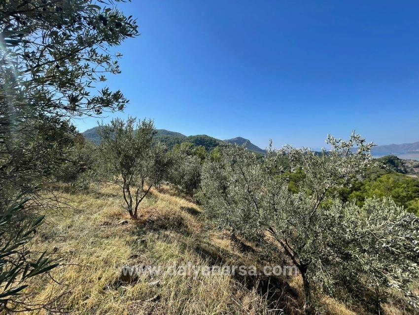 Gökbel'de Full Deniz Manzaralı 3514m2 Satılık Arsa