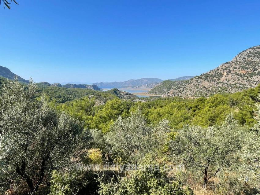 Gökbel'de Full Deniz Manzaralı 3514m2 Satılık Arsa