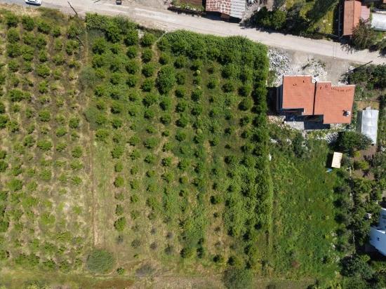 Okçular'da 1050m2 Köy Yerleşik Alanında Satılık Arsa