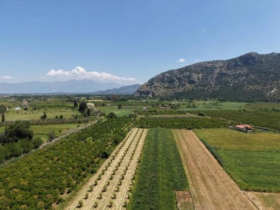Dalyan Merkeze Yakın 5100m2 Satılık Tarla