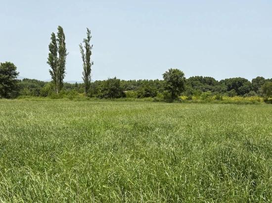 Okçular Marmarlı'da 2100 M2 Satılık Arsa