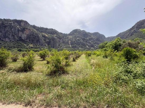 Okçular Marmarlı'da 2100 M2 Satılık Arsa