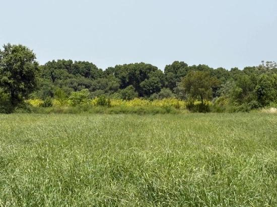 Okçular Marmarlı'da 2100 M2 Satılık Arsa