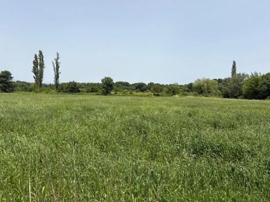 Okçular Marmarlı'da 2100 M2 Satılık Arsa