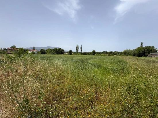 Okçular Marmarlı'da 2390m2 Satılık Arsa