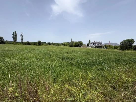 Okçular Marmarlı'da 2390m2 Satılık Arsa