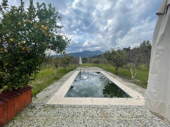 Dalyan'da 11.000m2 Arsa İçerisinde Satılık Butil Otel Ve Bungalov