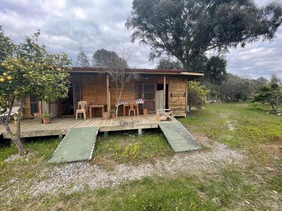 Dalyan'da 11.000m2 Arsa İçerisinde Satılık Butil Otel Ve Bungalov