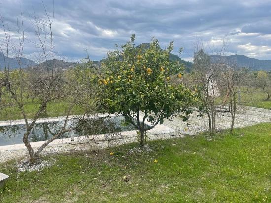 Dalyan'da 11.000m2 Arsa İçerisinde Satılık Butil Otel Ve Bungalov