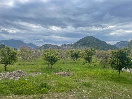 Dalyan'da 11.000m2 Arsa İçerisinde Satılık Butil Otel Ve Bungalov