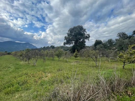 Dalyan'da 11.000m2 Arsa İçerisinde Satılık Butil Otel Ve Bungalov