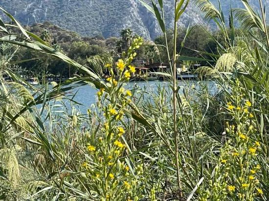 Çandır'da Kanala Sıfır 2765m2 Satılık Müstakil Ev