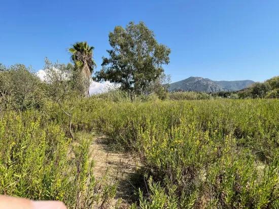 Çandır'da Kanala Sıfır 2765m2 Satılık Müstakil Ev