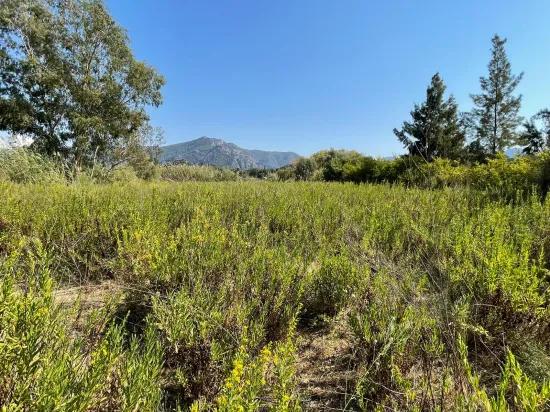 Çandır'da Kanala Sıfır 2765m2 Satılık Müstakil Ev