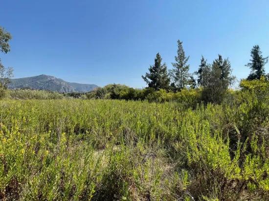 Çandır'da Kanala Sıfır 2765m2 Satılık Müstakil Ev