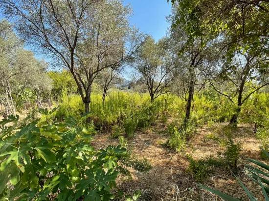 Çandır'da Kanala Sıfır 2765m2 Satılık Müstakil Ev