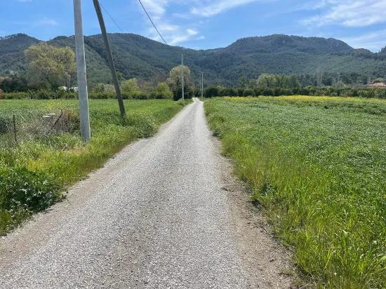 Okçular'da 736m2 Olan 250m2 İnşaat İzinli Satılık Arsa