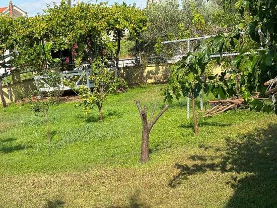 Dalyan Gülpınar 1000m2 Arsa İçinde 4+2 Satılık Villa