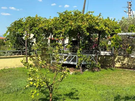 Dalyan Gülpınar 1000m2 Arsa İçinde 4+2 Satılık Villa