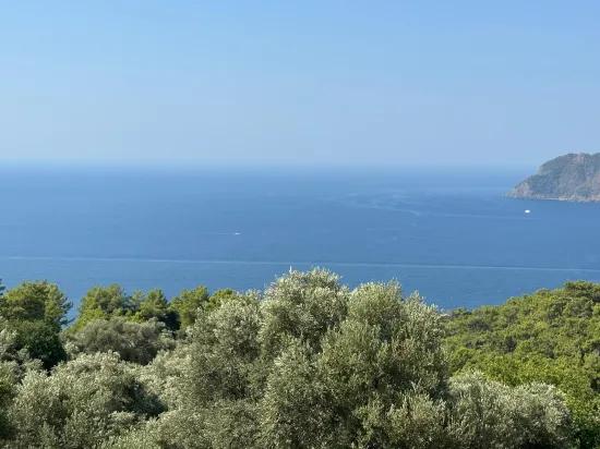 Çandır'da deniz manzaralı 21.000 m2 satılık 2b tarla