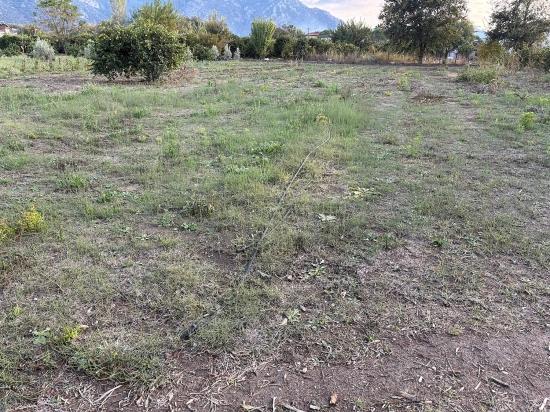 Dalyan'da 7.450m2 %5 İmarlı Satılık Arsa