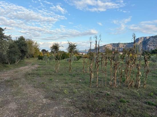 Dalyan'da 7.450m2 %5 İmarlı Satılık Arsa