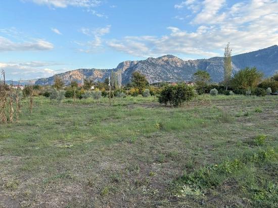 Dalyan'da 7.450m2 %5 İmarlı Satılık Arsa