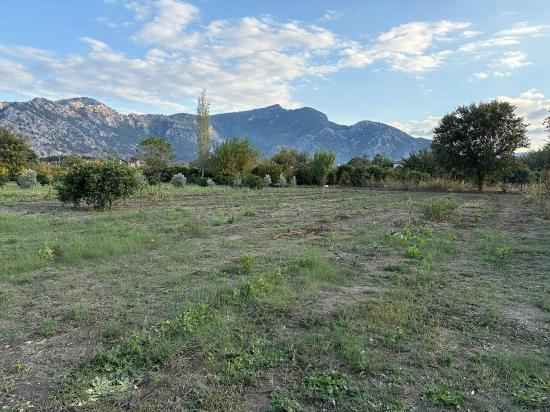 Dalyan'da 7.450m2 %5 İmarlı Satılık Arsa