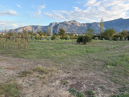 Dalyan'da 7.450m2 %5 İmarlı Satılık Arsa