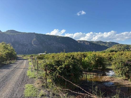 Ortaca Yeşilyurt'ta İmarlı 3900m2 Satılık Arsa
